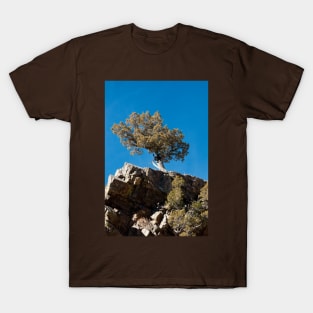 Cliff Hanger T-Shirt